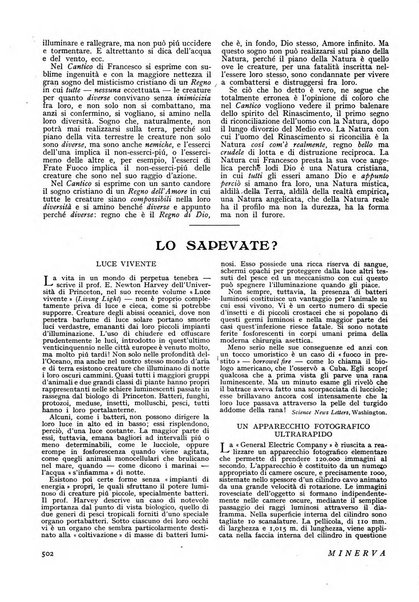 Minerva rassegna internazionale