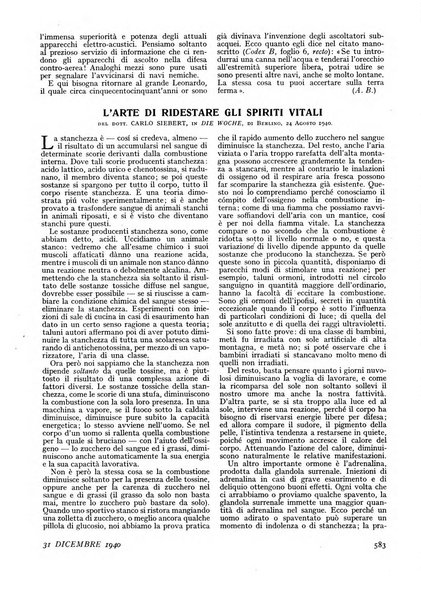 Minerva rassegna internazionale