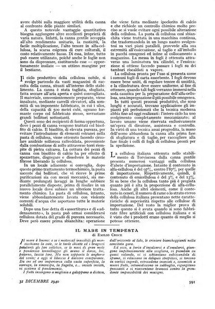 Minerva rassegna internazionale