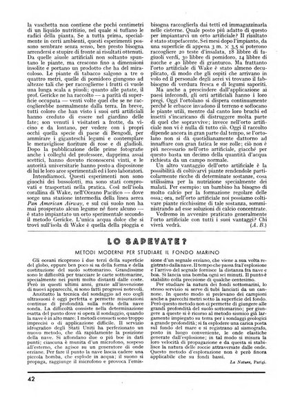 Minerva rassegna internazionale