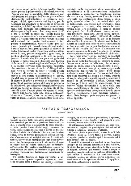 Minerva rassegna internazionale