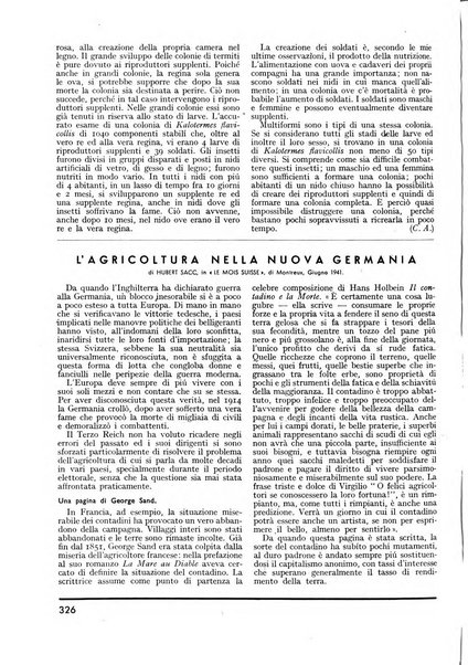 Minerva rassegna internazionale