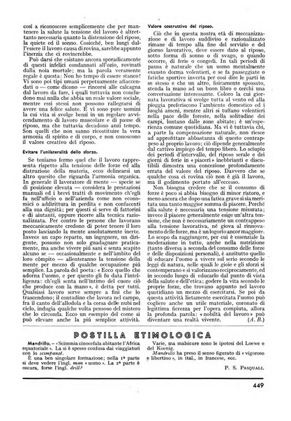 Minerva rassegna internazionale