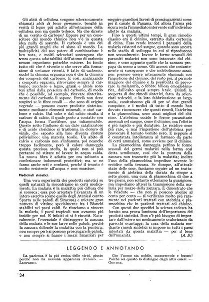 Minerva rassegna internazionale