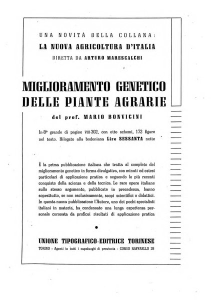 Minerva rassegna internazionale