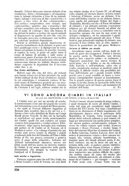 Minerva rassegna internazionale