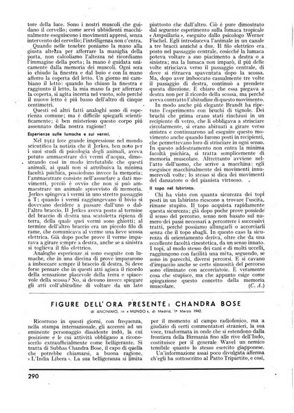 Minerva rassegna internazionale