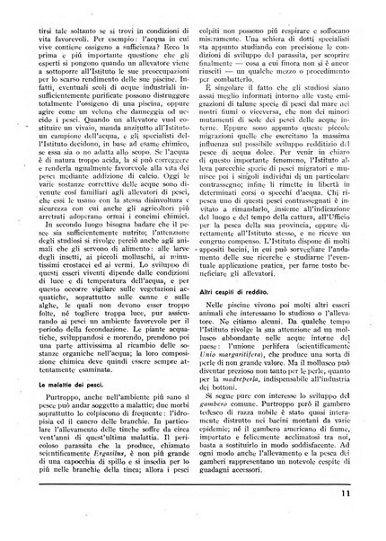 Minerva rassegna internazionale