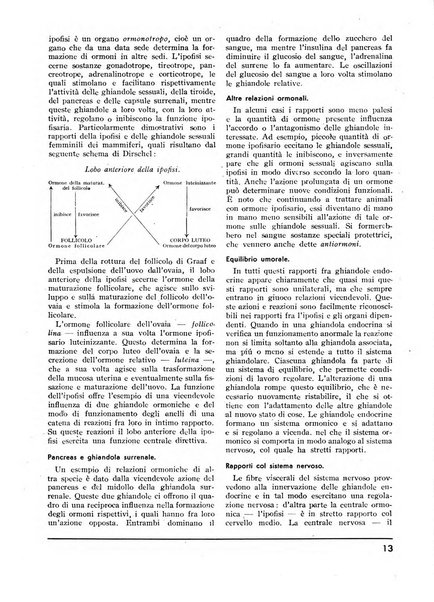 Minerva rassegna internazionale