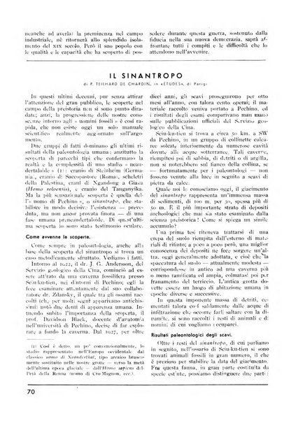 Minerva rassegna internazionale