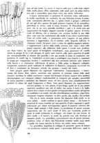 giornale/CFI0358541/1946/unico/00000024