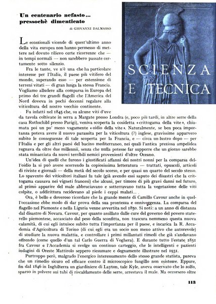 Minerva rassegna internazionale