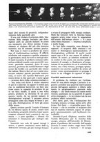 giornale/CFI0358541/1946/unico/00000135