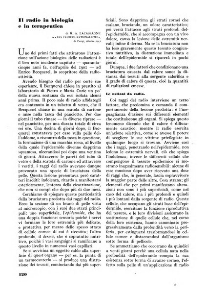 Minerva rassegna internazionale