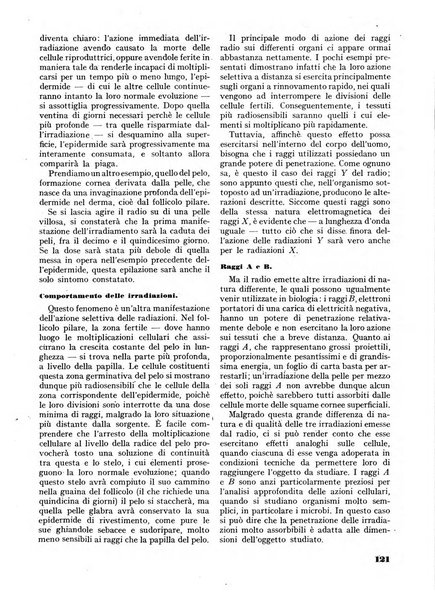 Minerva rassegna internazionale