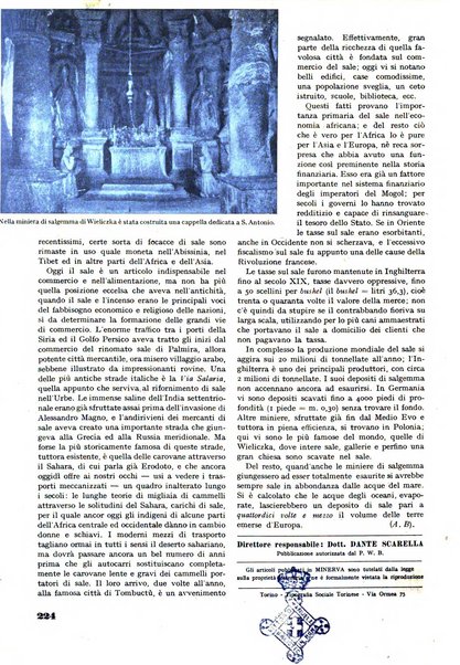 Minerva rassegna internazionale