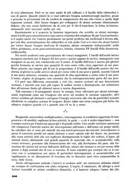 Minerva rassegna internazionale