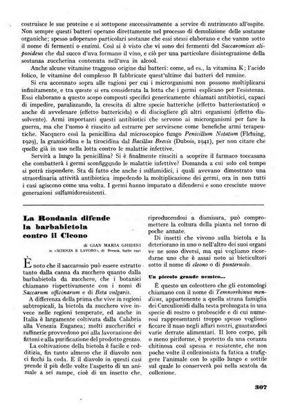 Minerva rassegna internazionale