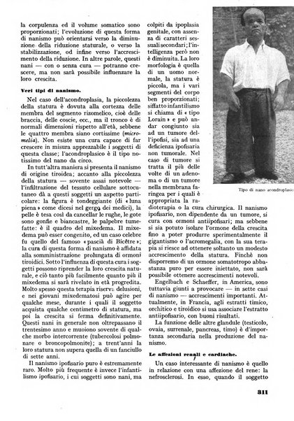 Minerva rassegna internazionale