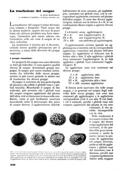 Minerva rassegna internazionale