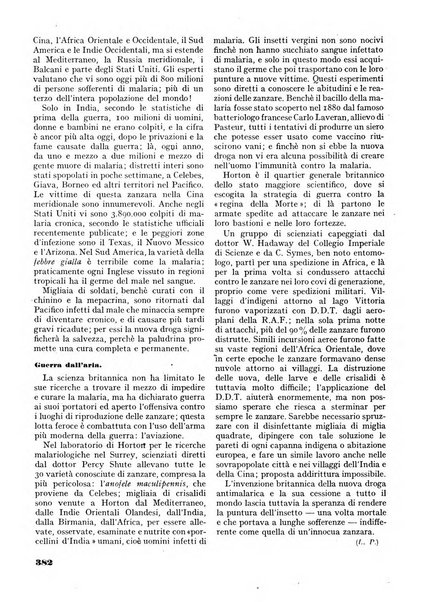 Minerva rassegna internazionale