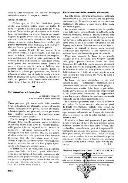 Minerva rassegna internazionale