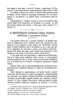 giornale/CFI0358596/1904-1905/unico/00000105