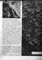 giornale/CFI0358746/1940-1941/unico/00000404