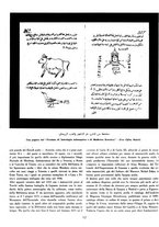 giornale/CFI0358746/1940-1941/unico/00000632