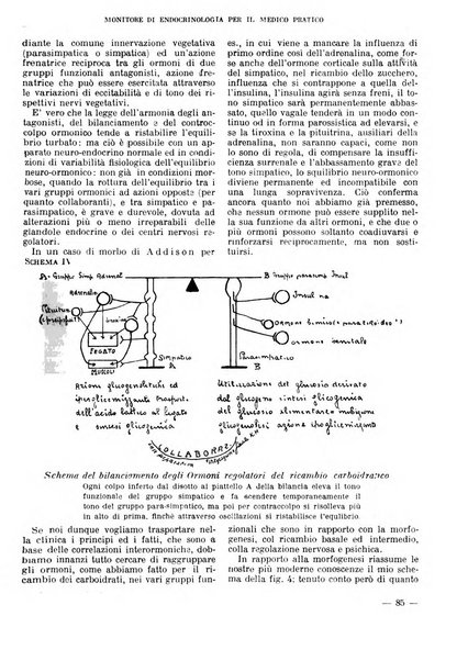 Monitore di endocrinologia per il medico pratico