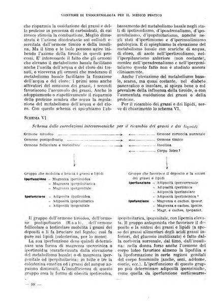 Monitore di endocrinologia per il medico pratico