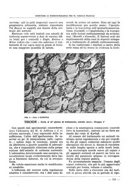 Monitore di endocrinologia per il medico pratico