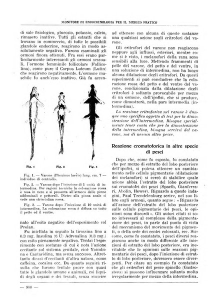 Monitore di endocrinologia per il medico pratico