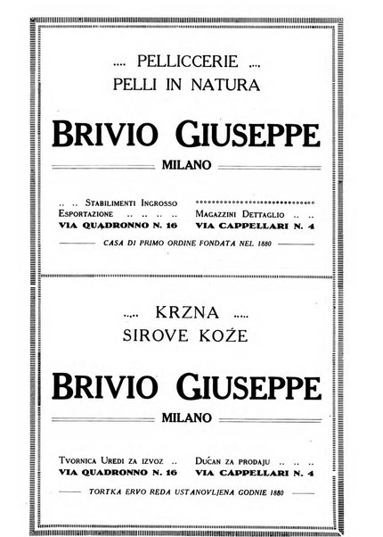 Il monitore italo-slavo rivista mensile di propaganda dei rapporti commerciali, industriali ed intellettuali tra l'Italia ed i paesi slavi