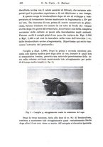 giornale/CFI0359229/1936/unico/00000520