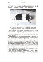 giornale/CFI0359229/1937/unico/00000520