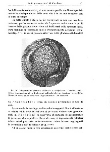 Neopsichiatria rassegna di psichiatria, neurologia, endocrinologia