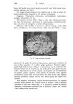 giornale/CFI0359229/1938/unico/00000302