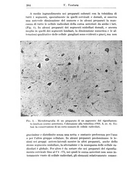 Neopsichiatria rassegna di psichiatria, neurologia, endocrinologia