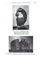 giornale/CFI0359229/1938/unico/00000563