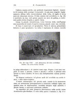 giornale/CFI0359229/1938/unico/00000608