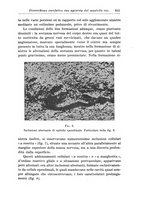 giornale/CFI0359229/1939/unico/00000649