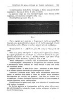 giornale/CFI0359229/1940/unico/00000399