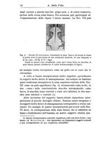 giornale/CFI0359229/1943-1947/unico/00000028