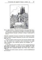 giornale/CFI0359229/1943-1947/unico/00000029