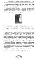 giornale/CFI0359229/1943-1947/unico/00000031