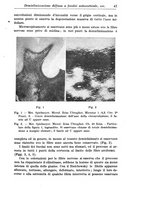 giornale/CFI0359229/1943-1947/unico/00000057