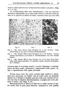 giornale/CFI0359229/1943-1947/unico/00000059