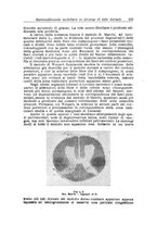 giornale/CFI0359229/1943-1947/unico/00000181