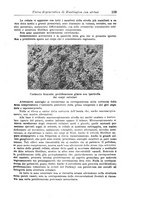 giornale/CFI0359229/1943-1947/unico/00000433